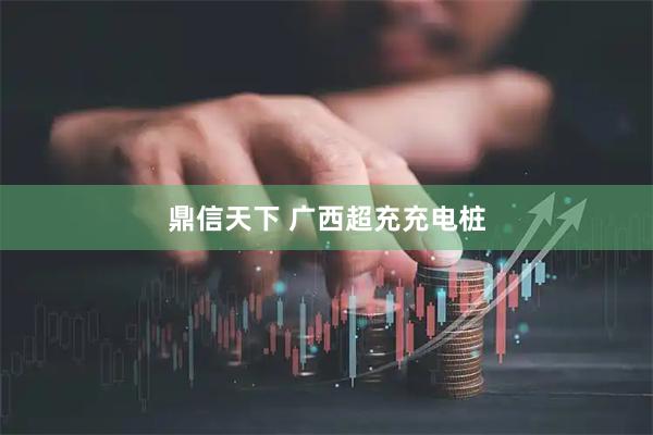 鼎信天下 广西超充充电桩